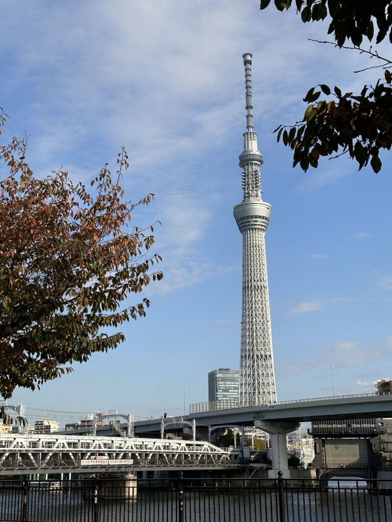 東京景點-東京鐵塔+晴空塔+Shibuya Sky展望台&淺草寺、明治神宮、小網神社(2023) 4 img 0024
